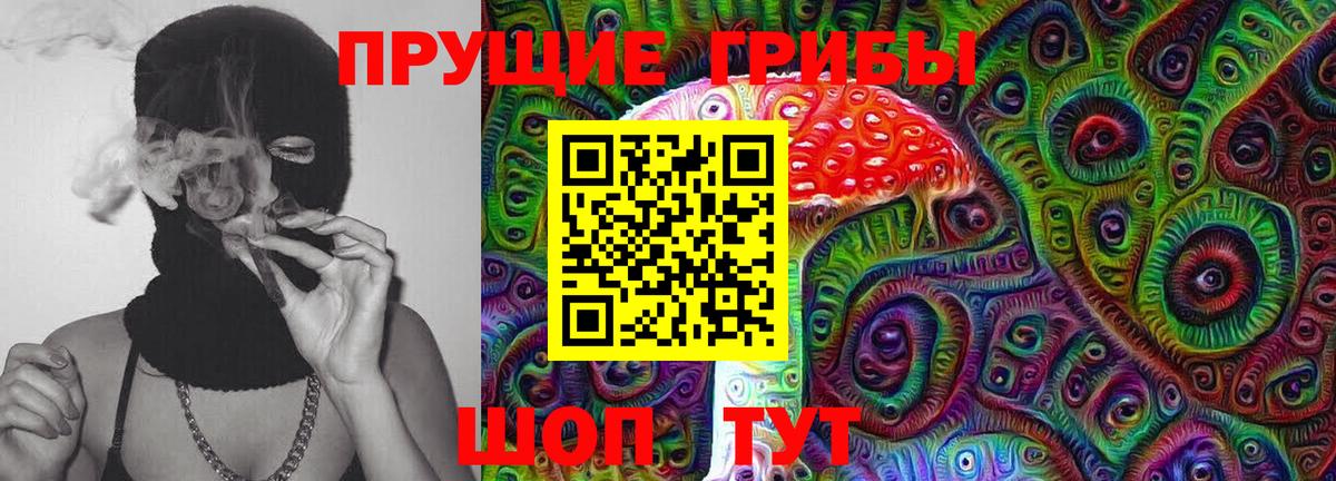 Галлюциногенные грибы Psilocybine cubensis  Псилоцибиновые грибы мицелий  Вход с VPN  Саратов 